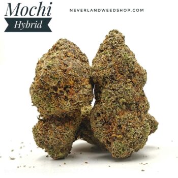mochi strain