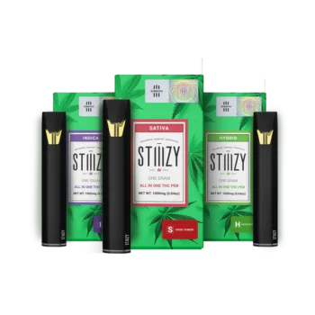 stiiizy all in one disposable